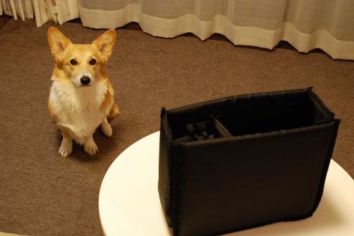 ピンボケ・・・