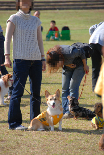 あれよあれよという間に